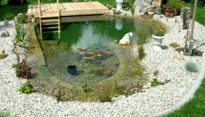 Te mostramos algunas piscinas naturales que existen en el mundo
